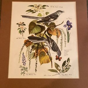 Arthur singer bird print.